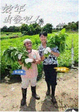 精选综艺